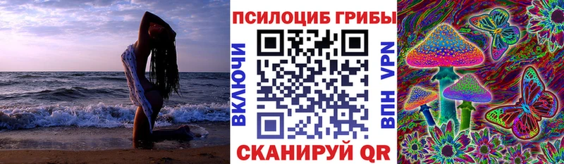 купить Мензелинск Псилоцибиновые грибы Magic Shrooms